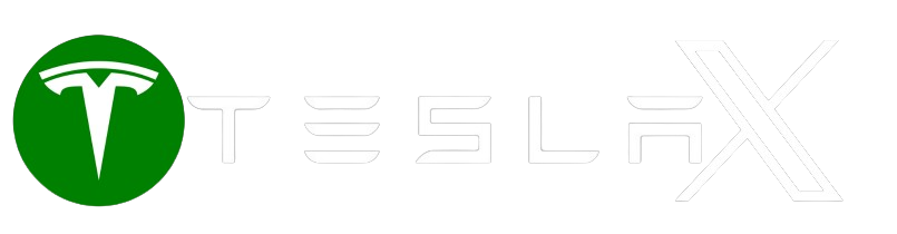 Teslaonlinespace Logo